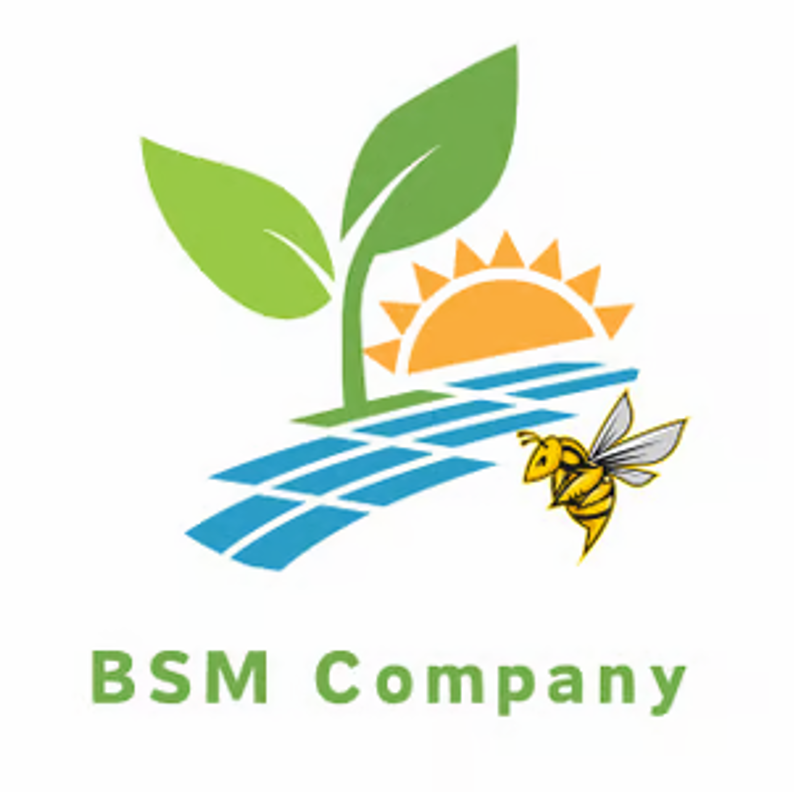 BSM