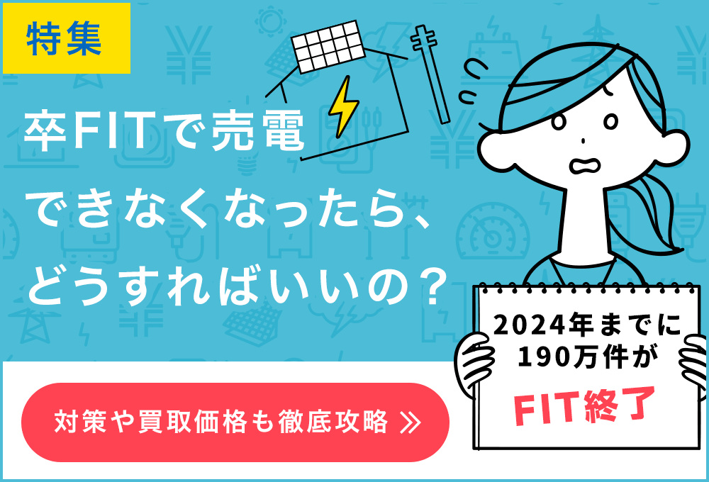 特集 卒FIT