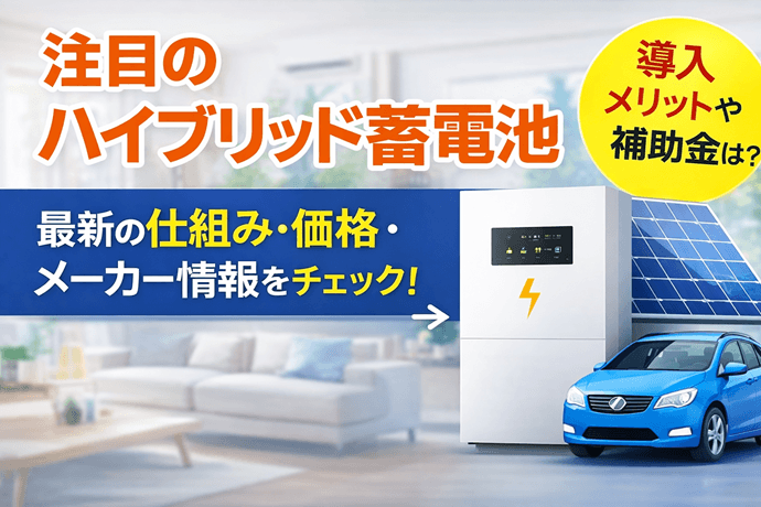 トライブリッド蓄電システム