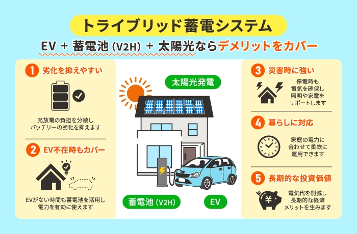 トライブリッド蓄電システム